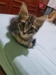 Monty