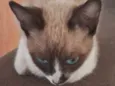 Nina