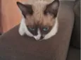 Nina