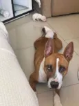 Dora 