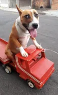 Dora 