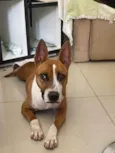 Dora 