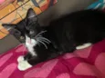Cleitinho