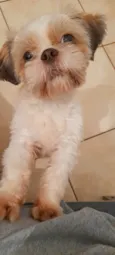 Nick