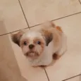 Nick