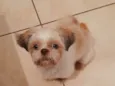 Nick