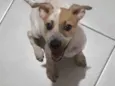 Nenem