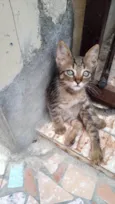 Lilica