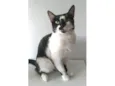 CELINNA