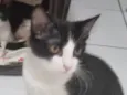 Lindinha