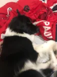 Zoe 