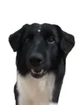 Zoe 