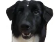Zoe 