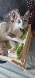 Mia