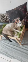 Mia