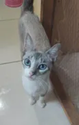 Mia