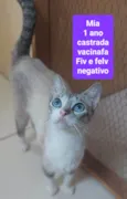 Mia