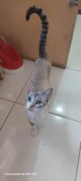 Mia