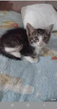Lindos bebes para adocao