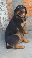ALADIN