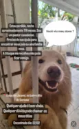 Desconhecido