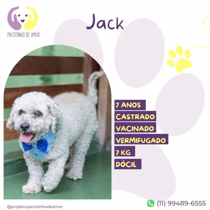 Cachorro ra a SRD-ViraLata idade 6 ou mais anos nome Jack