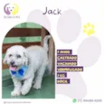 Jack