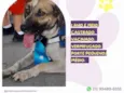 Juninho