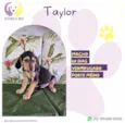 Taylor