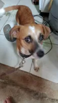 Jack