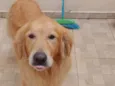 Bob