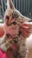 Mia