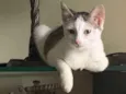 Mia