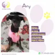 Any
