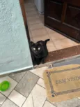 Salem