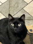 Salem