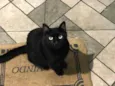 Salem