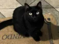 Salem