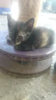 Luna (São Sebastião -DF)