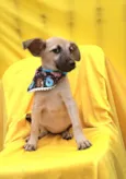 Frida