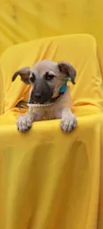 Frida