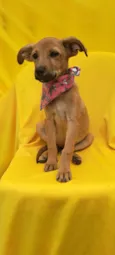 Matilda