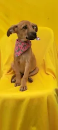 Matilda