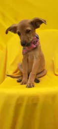 Matilda