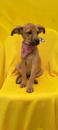 Matilda