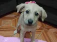 Clarinha