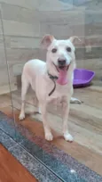 VITORIO
