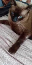 Léo
