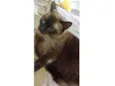Léo