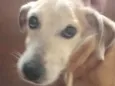 João